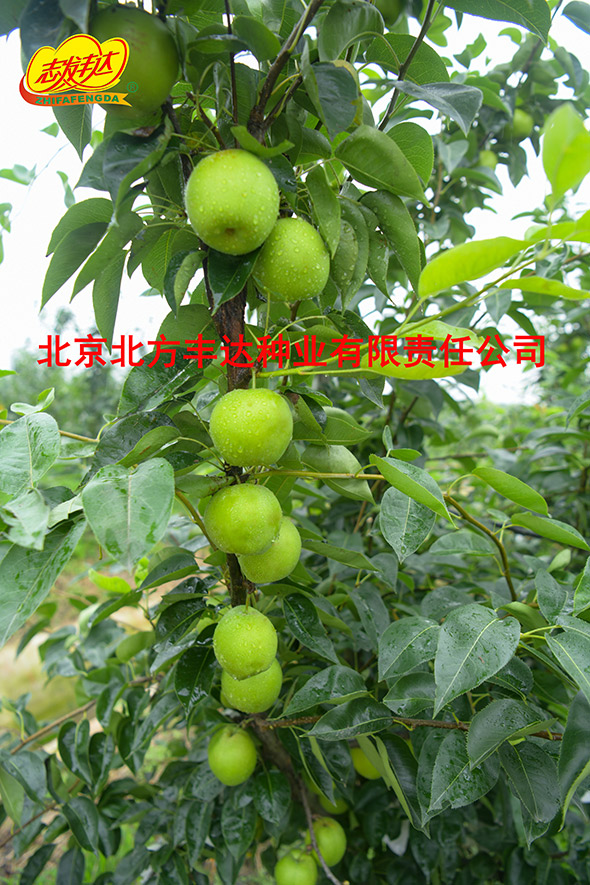 �������������ҵ���޹�˾